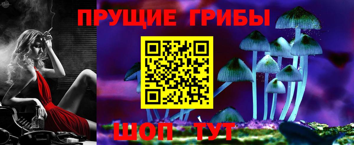 Галлюциногенные грибы Psilocybine cubensis Алексин