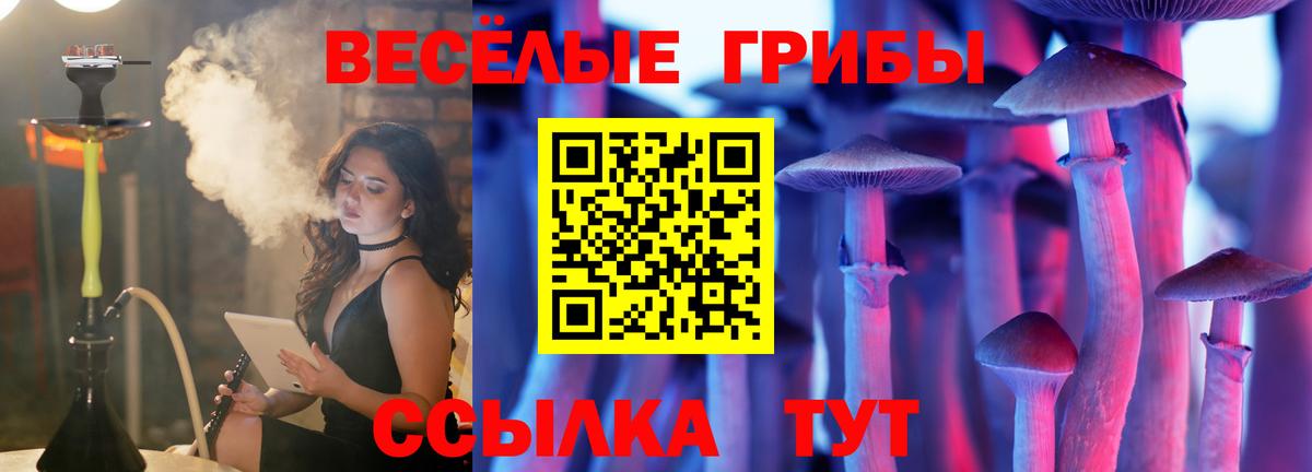 Алексин  Галлюциногенные грибы мицелий  Вход с VPN 